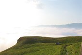IMG_0974