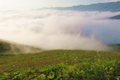 IMG_0986