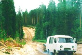 Лесовозная дорога