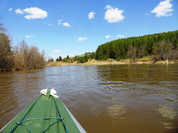 Раскуиха по курсу