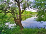 IMG_20210529_092158