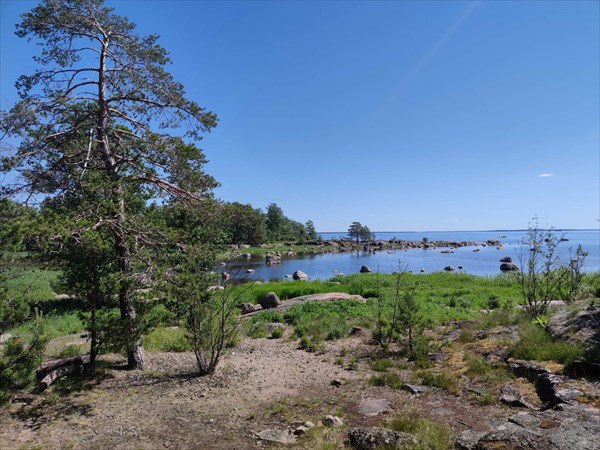 Муниккохарью