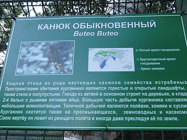 210-Канюк