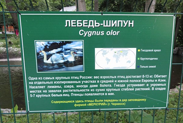 220-Лебеди