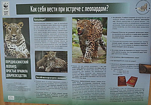 236-Плакат