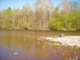 DSCN0901