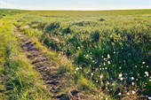 Дорога после брода через р. Малая Уса.