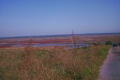 Под горой немного солончаков.