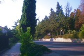 Алушта, кипарисы.