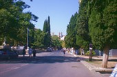 Опять кипарисы.