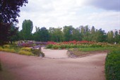 Симферопольский Ботанический сад.