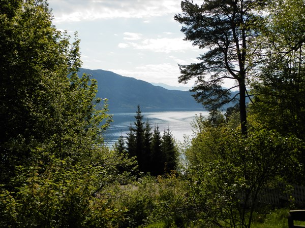 Почти каждый дом в Норвегии имеет виды на море или озеро