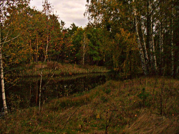 Чудесная полянка