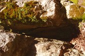 Малая фанагорийская пещера