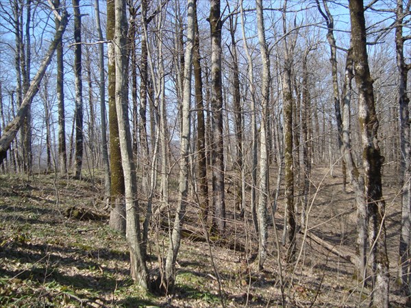 Идем к щели Кисилева 