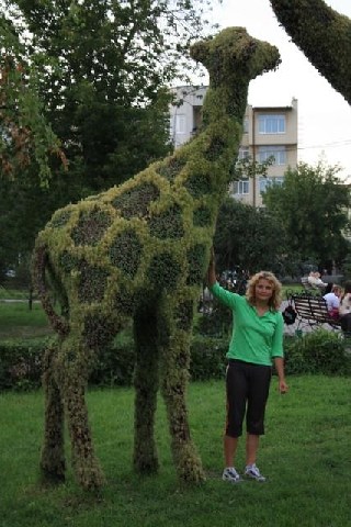 жирафы в Сибири