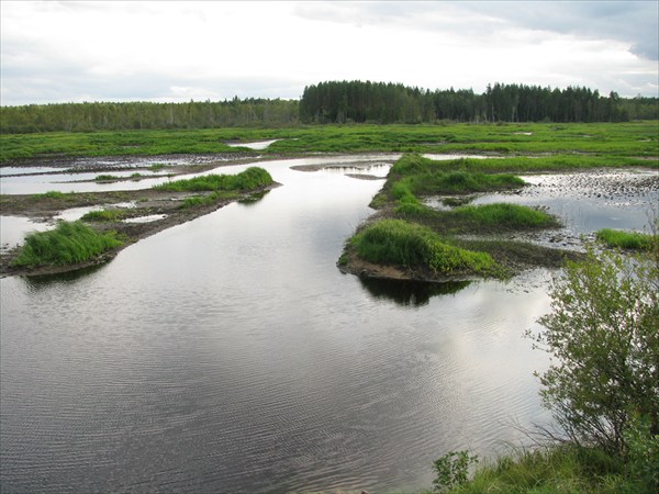 Устье р.Орлинка