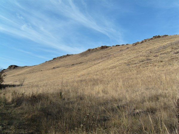 Луганская степь.