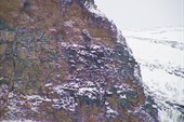 Фигура на скале
