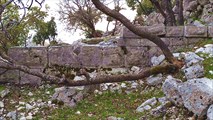 IMG_20220328_183557
