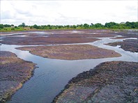 Pitch-lake-6-озеро Пич-Лейк