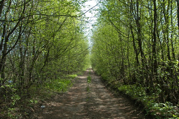 Дорога вдоль Староладожского канала от Нижней Шальдихи к Лаврово