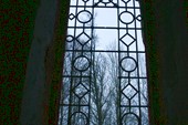 IMG_3318