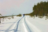Лыжня через Рдейское болото