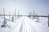 Путь через Рдейское болото