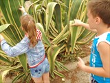 IMG_0508