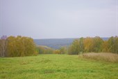 IMGP7106