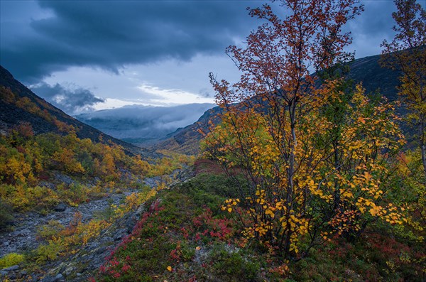 Последний вечер