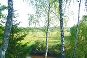 Река Десна.