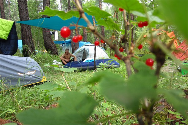 Фестивальный палаточный лагерь.