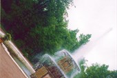 Петергоф. Нижний парк. `Римский фонтан`