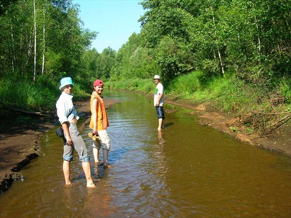 р.Пра, июль 2007. Приток Пры - речушка Могино. Вверх по течению.