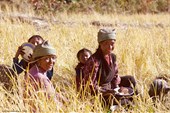 20.11.2009 г. Тибетские женщины и дети обедают в поле.Lower Tsum