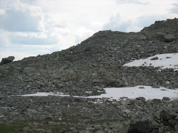 Серны на спуске с перевала Елангаш З.