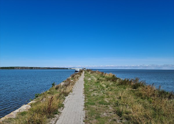 030-Лесное