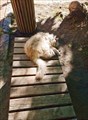 110-Зеленоградск