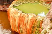 Pumpkin-Spring