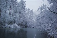 IMG_5840-река Анюй