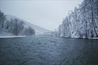 IMG_5843-река Анюй