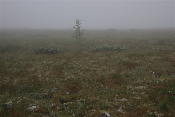 День четвертый. 30.06.2015. Туман.