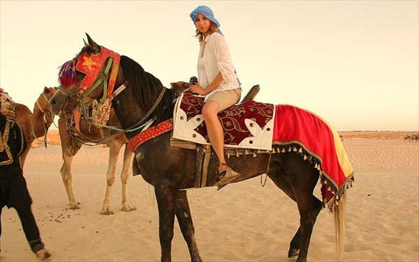 Арабский скакун одного из бедуинов