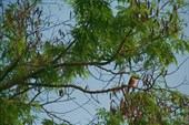 IMG_2325_1