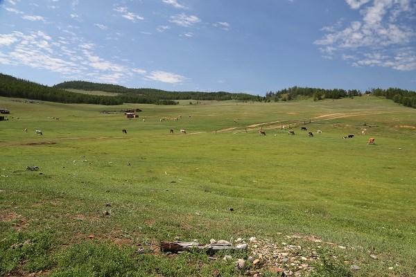 Поселок Онгурен, берег