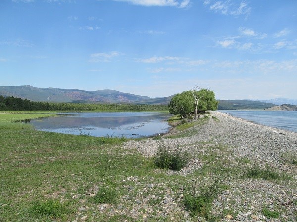 В районе Онгурена