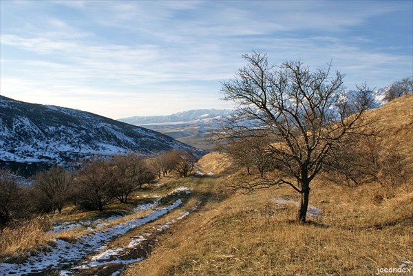 Начало декабря