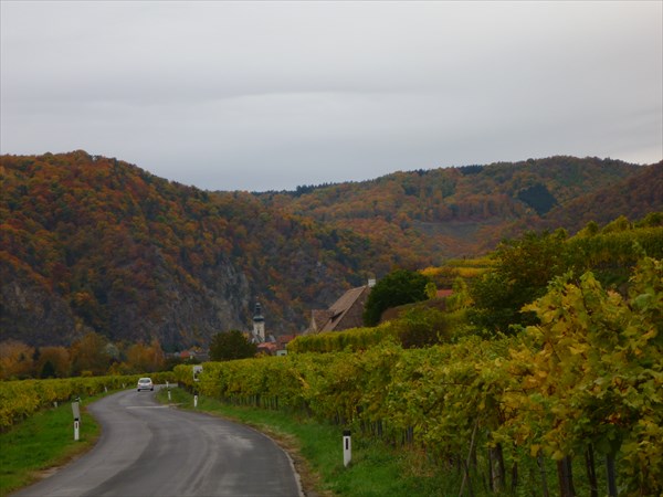Дорога через виноградники после Дюрнштайна
